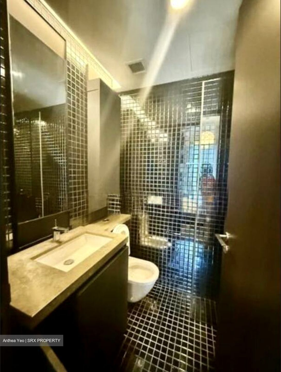 Skysuites@Anson (D2), Apartment #504302361